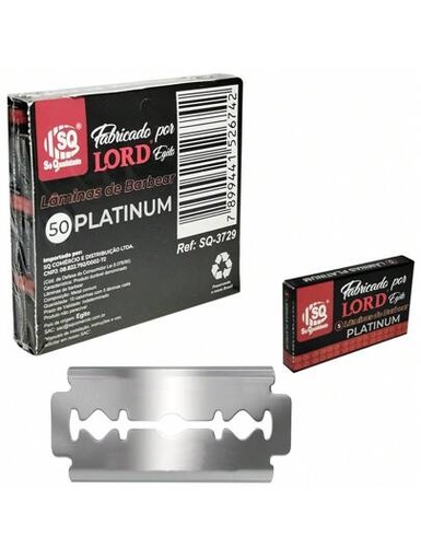 lamina lord